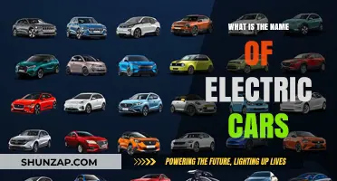 Exploring the Names and Brands of Today's Electric Vehicles