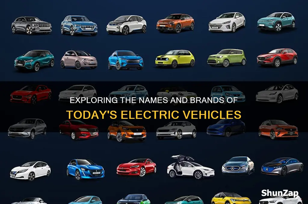 what is the name of electric cars