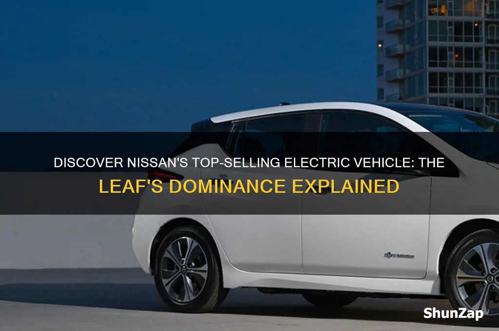 what is the name of nissan