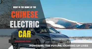 Discover the Name of China's Popular Electric Car Model