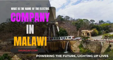 Electricity Supply Corporation of Malawi: Powering the Nation