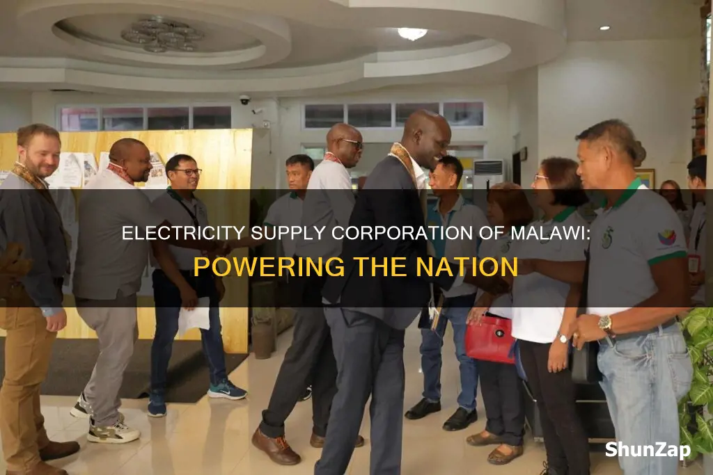 what is the name of the electric company in malawi
