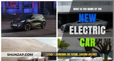 Discover the Latest Electric Car Model: What's Its Name?