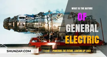 General Electric's Core: Innovation and Adaptability