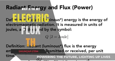 Understanding Electric Flux: Net Electric Flux Explained