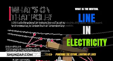 Understanding the Neutral Line in Electrical Circuits