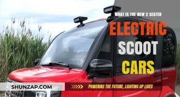 Revolutionary 2-Seater Electric Scoot Cars: The Future of Urban Mobility
