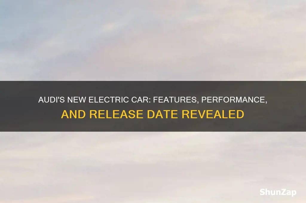 what is the new audi electric car