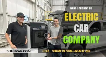 The Next Big Electric Car Company: Who Will Dominate the EV Market?