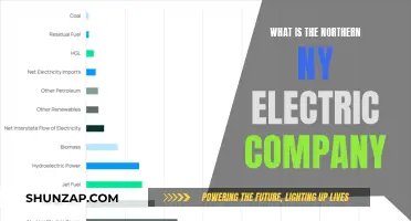 Unveiling the Power: Northern NY Electric Company Explained