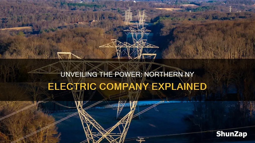 what is the northern ny electric company