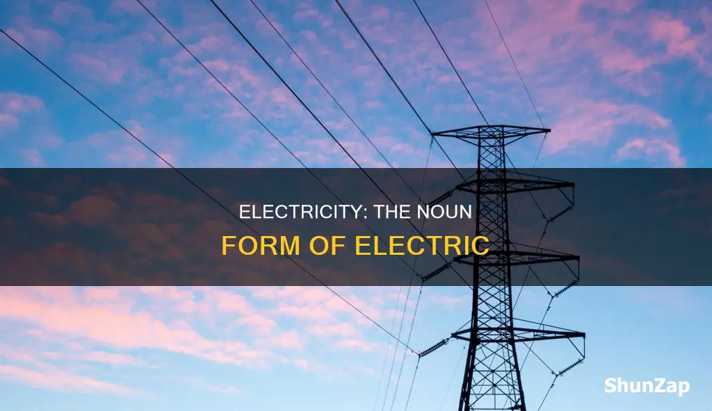 what is the noun form of electric