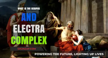 Understanding Oedipus and Electra: Complex Relationships