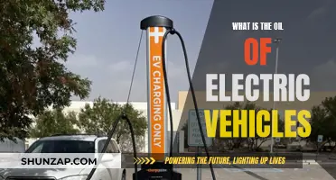 Electric Vehicles: Powering the Future with Sustainable Oil Alternatives
