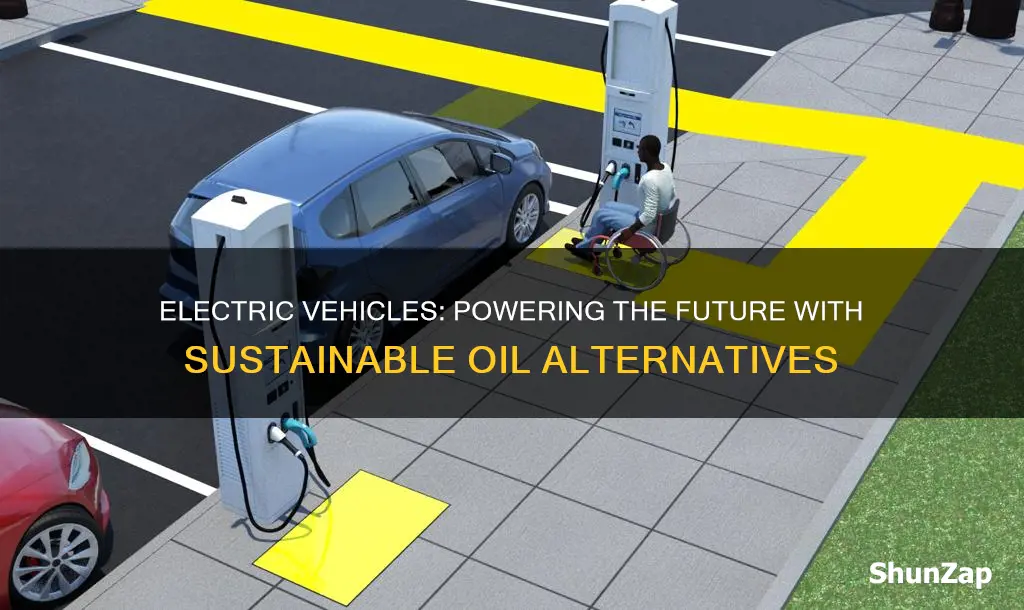 what is the oil of electric vehicles