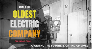 The Ancient Origins of Modern Electricity: Unveiling the World's Oldest Electric Company