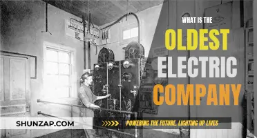 The Quest for the Oldest Electric Company: Unraveling History