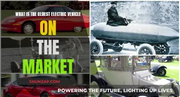 A Journey Through Time: Unveiling the Market's Oldest Electric Vehicle