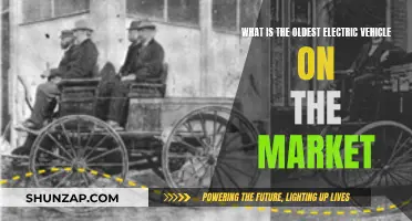 The Oldest Electric Vehicle: Still on the Market