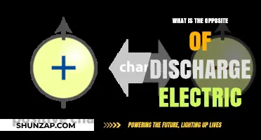 Charging Up: Exploring Electric Charge Conservation