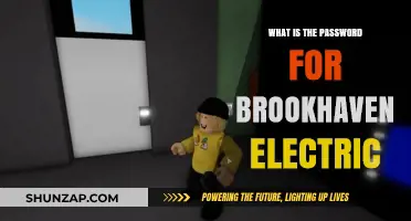 Electric Password Mystery: Brookhaven's Secret Code