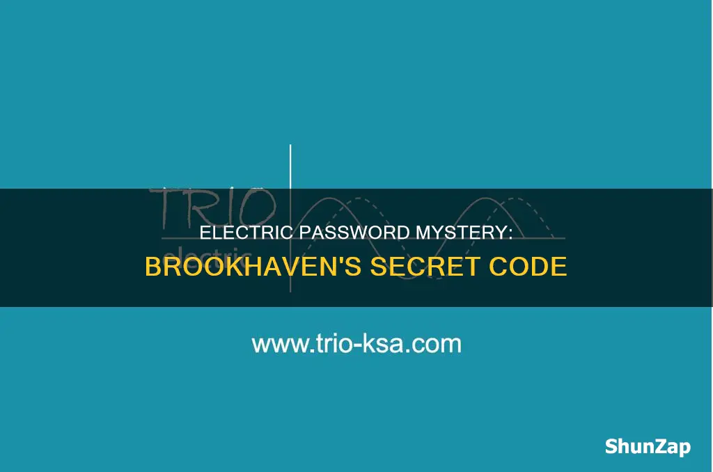 what is the password for brookhaven electric