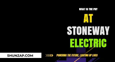 Stoneway Electric: Salary and Benefits Insights