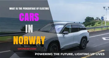 Norway's Electric Car Revolution: Unveiling the Impressive Market Share Percentage