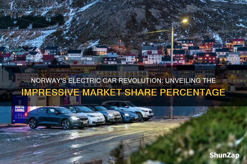 what is the percentage of electric cars in norway