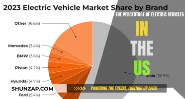 Electric Vehicles: The Rising Trend in the US