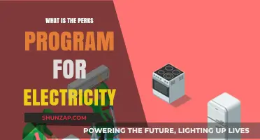 Electricity Perks: Rewards for Energy-Savvy Customers