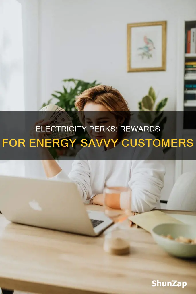 what is the perks program for electricity
