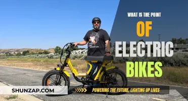 Electric Bikes: Revolutionizing Urban Commute and Adventure