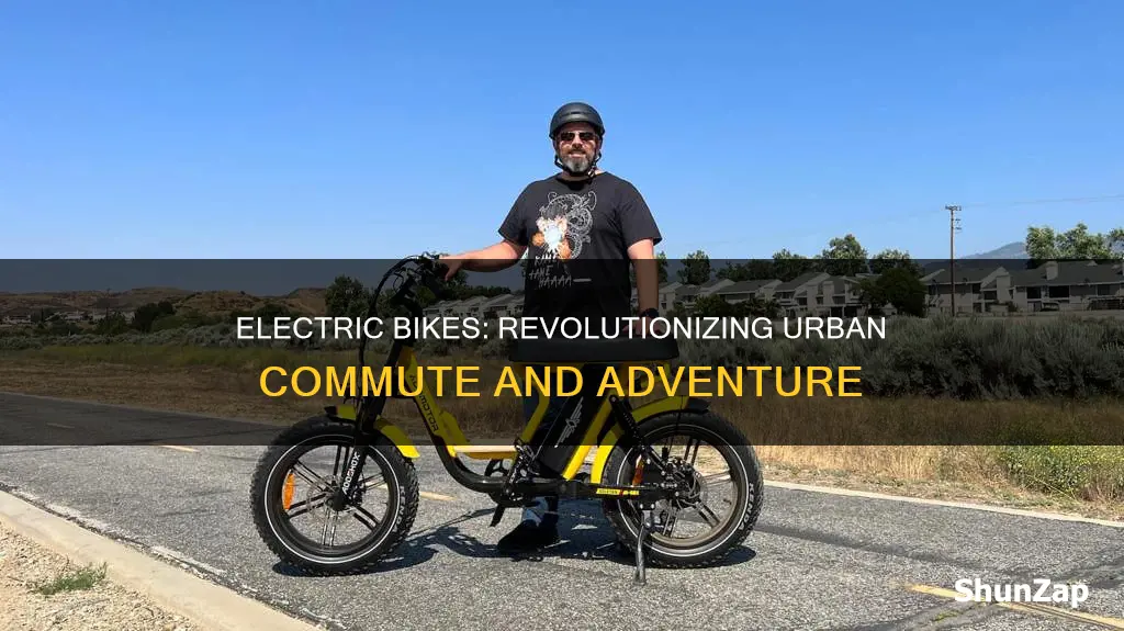 what is the point of electric bikes