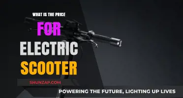 Electric Scooters: How Much Do They Cost?