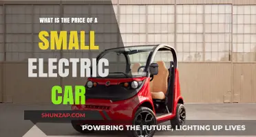 Affordable Electric Car Options: Small EV Prices Explained