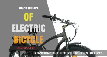 Electric Bikes: How Much Do They Cost?