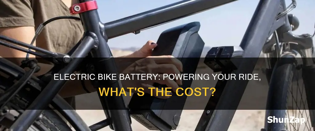 what is the price of electric bike battery