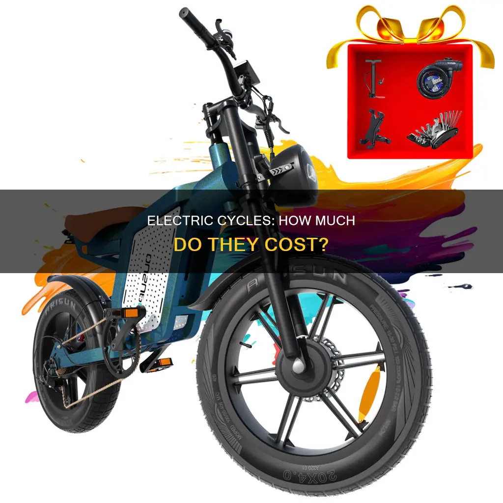 what is the price of electric cycle