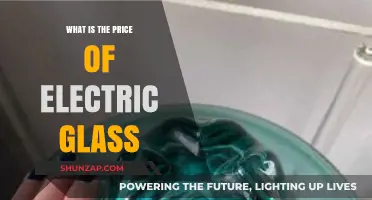 Electric Glass: Costly Panes or Affordable Innovation?