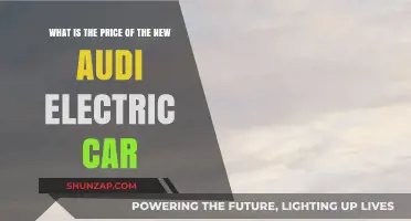 Discover the Cost of Audi's New Electric Car Model