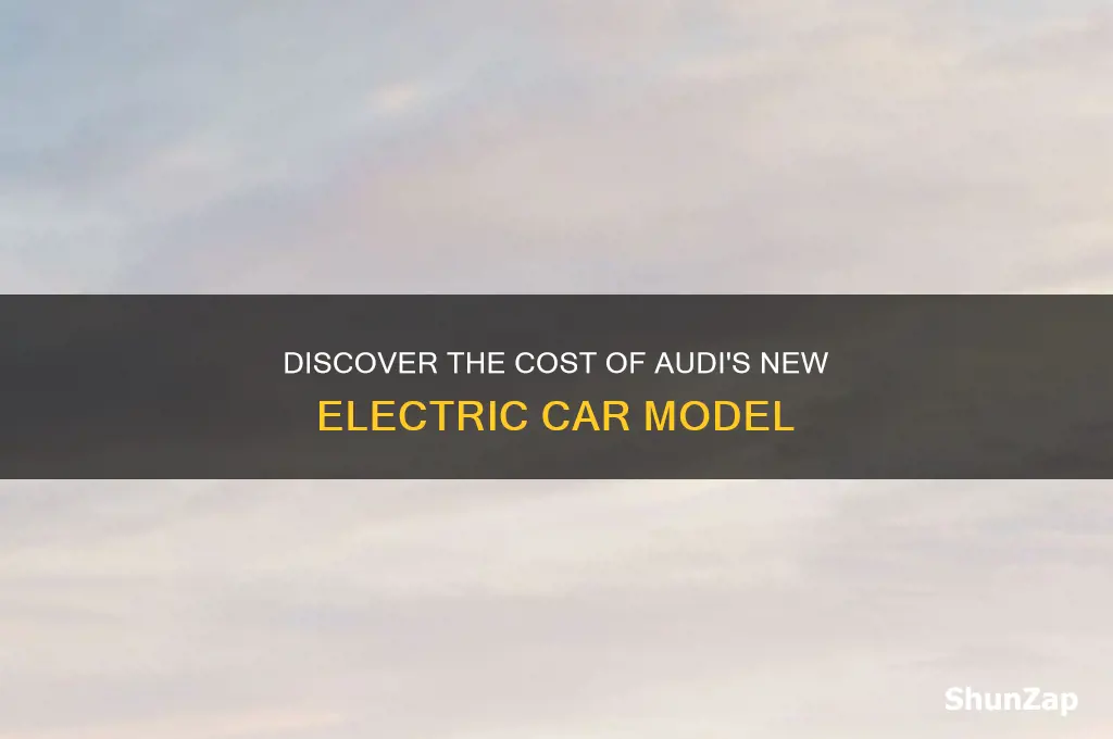 what is the price of the new audi electric car
