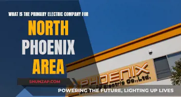 Electric Company for North Phoenix: Who's the Primary Provider?