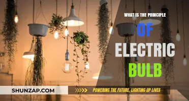 How Electric Bulbs Work: Illuminating Principles