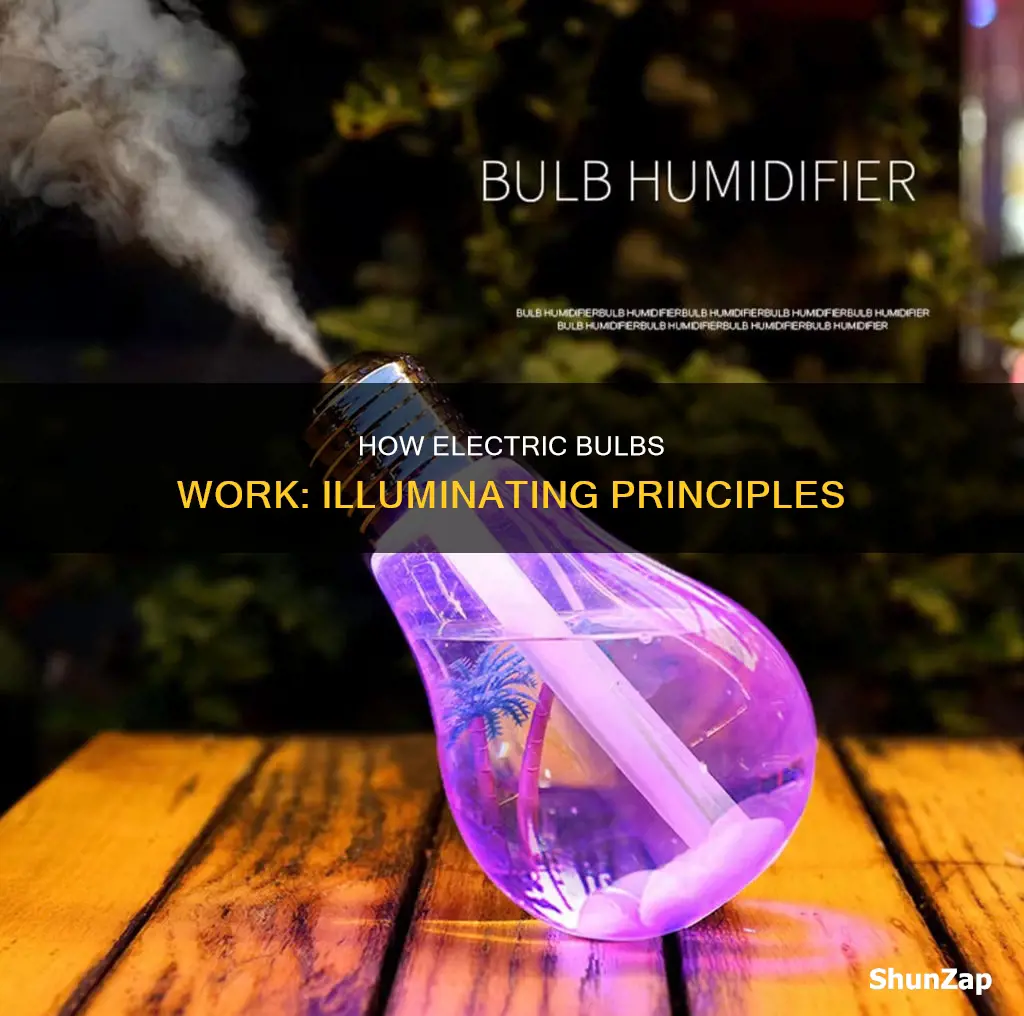 what is the principle of electric bulb