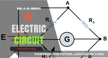 Understanding Electric Circuits: The Basics