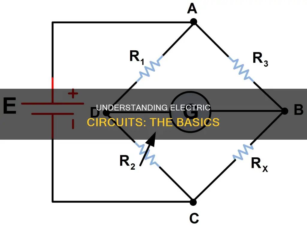 what is the principle of electric circuit