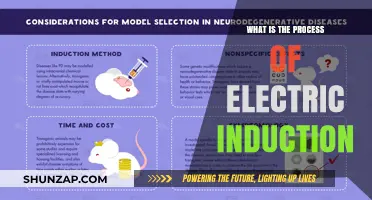 How Electric Induction Works: A Simple Guide
