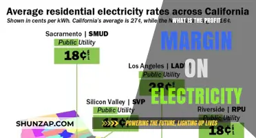 Electricity's Profit Margin: Who Benefits?