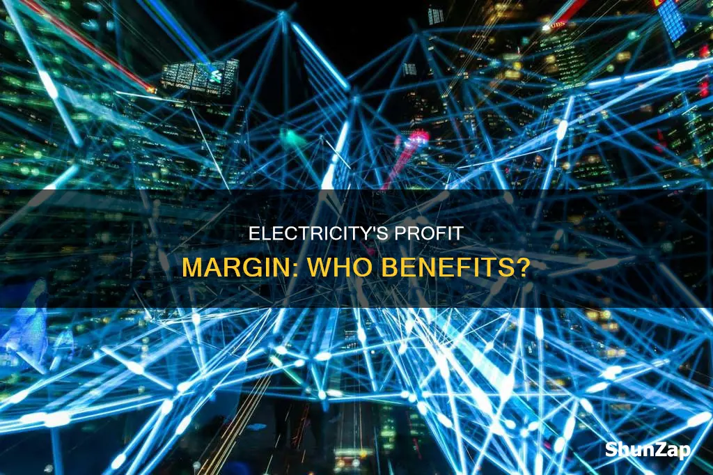 what is the profit margin on electricity